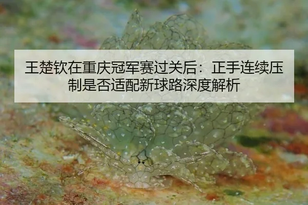 wang-chu-qin-zai-chong-qing-guan-jun-sai-guo-guan-hou-zheng-shou-lian-xu-ya-zhi-shi-fou-shi-pei-xin-qiu-lu-shen-du-jie-2-363.jpg