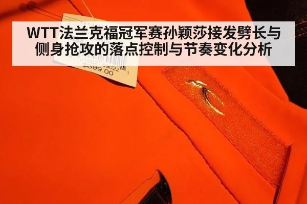 WTT法兰克福冠军赛孙颖莎接发劈长与侧身抢攻的落点控制与节奏变化分析